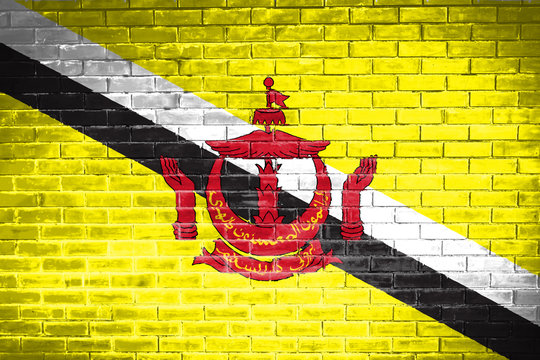 Brunei  flag,wall texture background