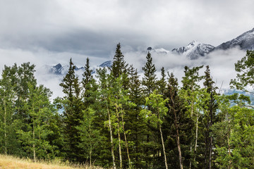 Early morning in the Canadian Rocky Mountain
