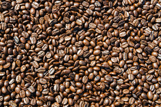 Coffee beans drying in the sun can be used as a background © Eyes wide
