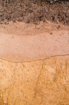 Dry soil surface cracks.