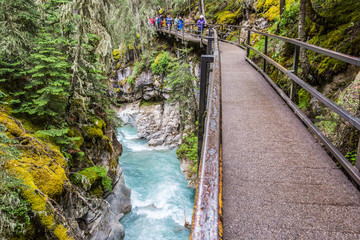 People walking the Johnston Canyon catwalk trail