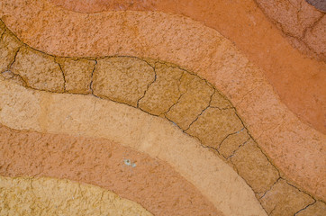 Layer of dry soil cracks to the root.