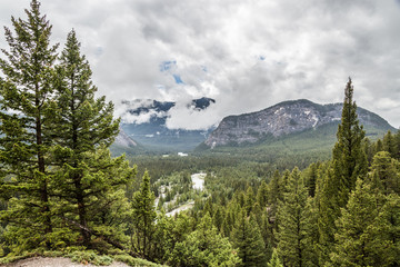 Bow River by the Tunnel Mountain