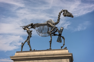 Sculpture of skeletal horse in Londons Trafalgar Square - obrazy, fototapety, plakaty