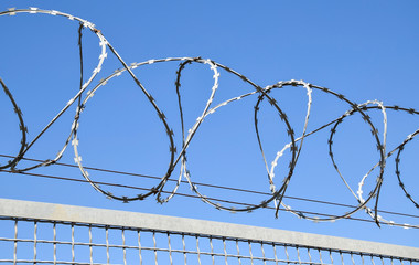 Barbed wire fence of the prison