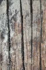 Obraz premium Wood Texture background.