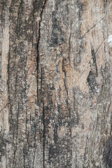 Wood Texture background.
