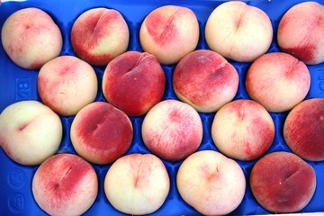 White peaches for sale at the market