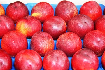 Fresh nektarine on the market 