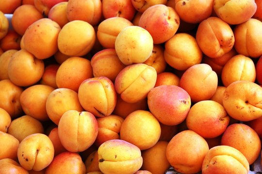 Apricots for sale