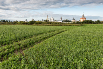 Old monastery and green meadow in summer