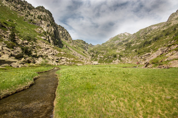 Fototapeta na wymiar Ruisseau en Montagne, Pyrénées France