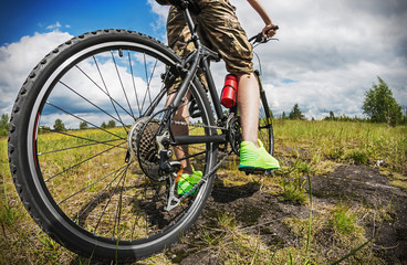 Fototapeta na wymiar cyclist on a Mountain Bike on a forest track