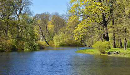 Весенний пейзаж на пруду.