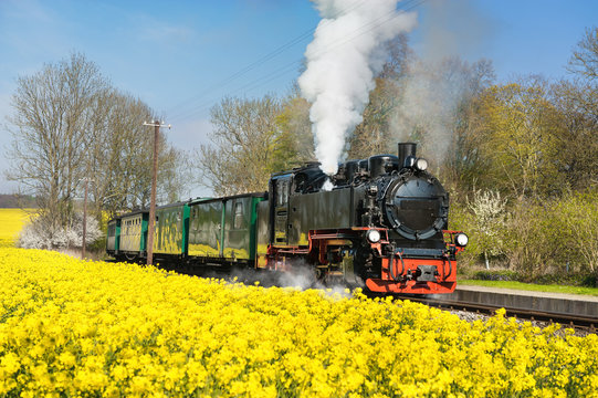 Fototapeta Historical steam train on island Ruegen in spring