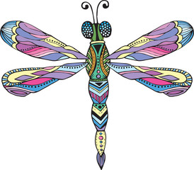 Colored dragonfly with patterns