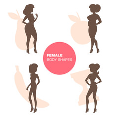 Female body shapes