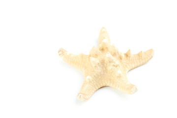 Starfish isolated on a white