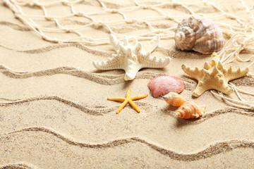 Sea shells on a beach sand