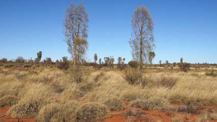 Outback, Australien
