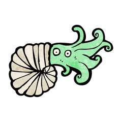 cartoon nautilus squid