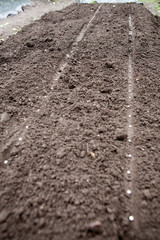 Sow seeds