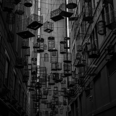 The Bird Cage Alley in Sydney, Australia