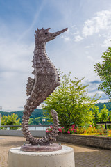 Seepferdchen am Millstätter See