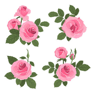 Pink roses bouquet with leaves
