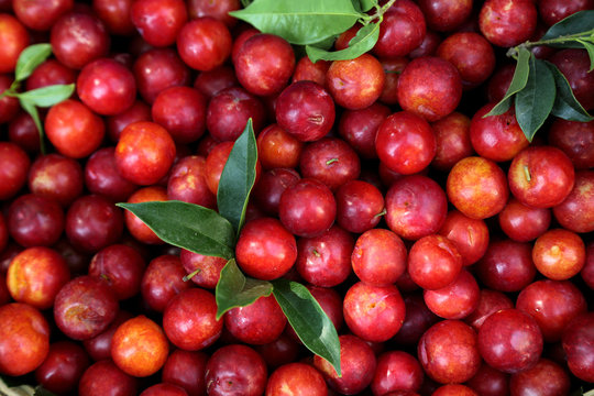 Chinese red cherry