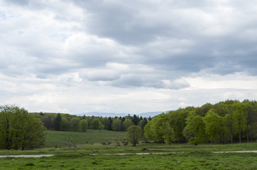 Obraz premium Harghita landscape