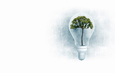 Ecology ideas