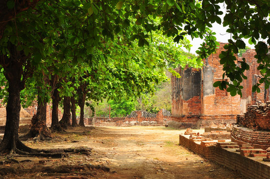 Colour of buddism ancient remains/In Ayutthaya province, Thailand, Asia