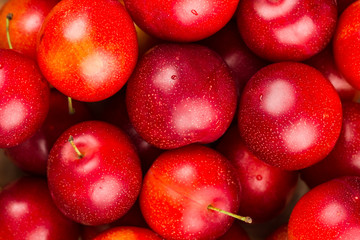 Ripe Plums Background