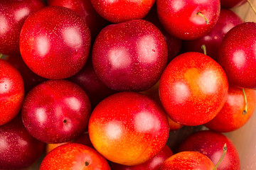 Ripe Plums Background