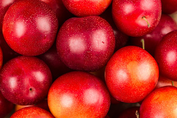 Ripe Plums Background