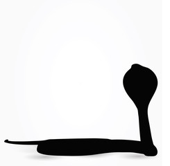 snake silhouette