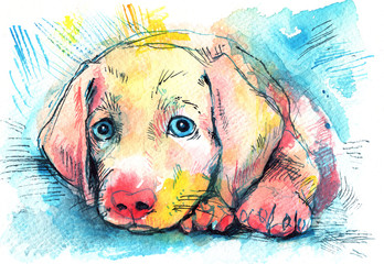 lying puppy on a blue background, watercolor sketch
