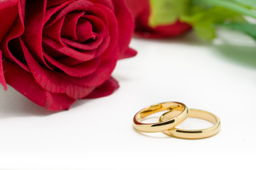 Wedding rings and artificial rose on white background