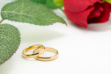 Wedding rings and artificial rose on white background