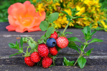 Scented plants and fruit