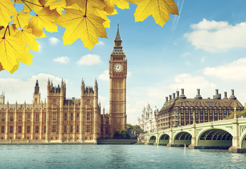 autumn leaves and Big Ben, London