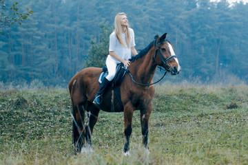 Fototapeta premium Romantic girl in a white horse. beautiful girl and a horse
