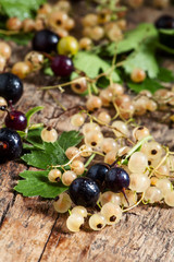 Black and white currant with leaves on old wooden background, se