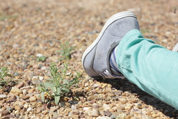 a foot and a sneaker on a background of grass and stones