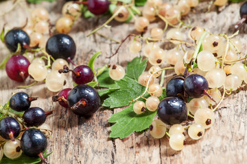 Black and white currant with leaves on old wooden background, se