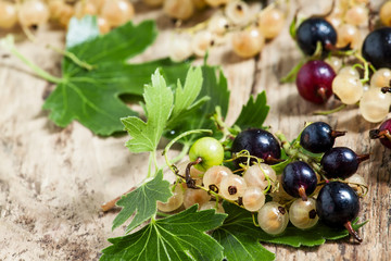 Black and white currant with leaves on old wooden background, se
