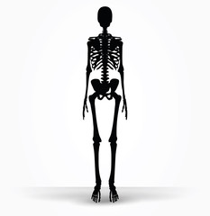 skeleton silhouette in default pose