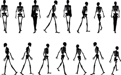 skeleton silhouette in walk