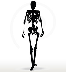 Fototapeta na wymiar skeleton silhouette in walk